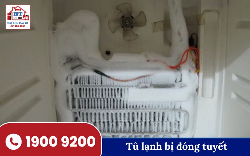 Hình ảnh lỗi tủ lạnh thường gặp tại Tân Phú