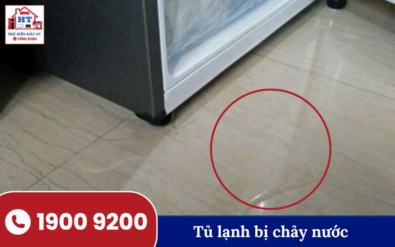 Hình ảnh lỗi tủ lạnh thường gặp tại Tân Phú